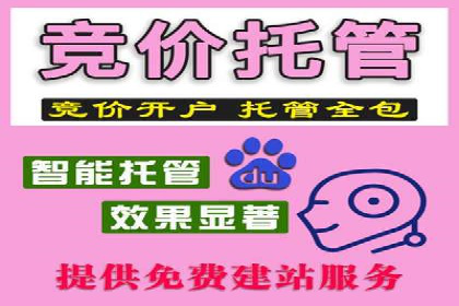成功SEM主管的领导力与决策力——以实际案例为证
